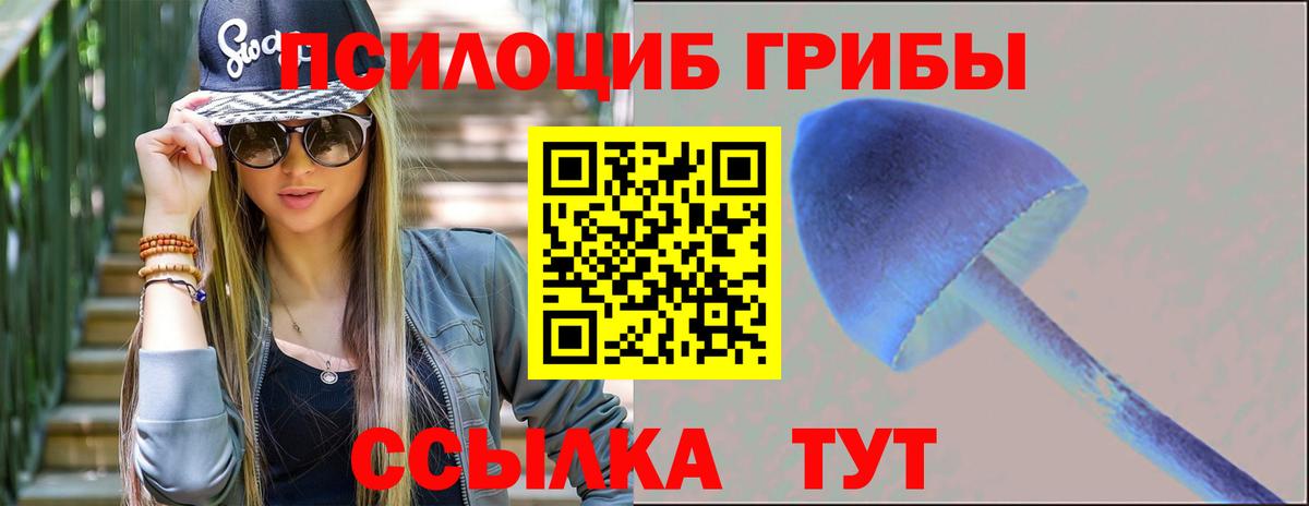 Полевской  Псилоцибиновые грибы мухоморы  Вход с VPN 
