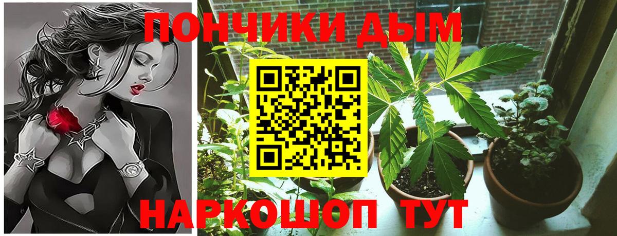 Бошки Шишки конопля  Канабис LSD WEED  Вход с VPN  Полевской 